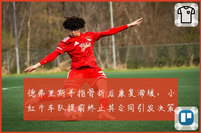 德弗里斯手指骨折后康复滞缓，小红牛车队提前终止其合同引发决策争议