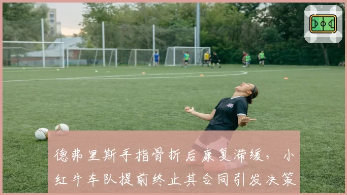 德弗里斯手指骨折后康复滞缓，小红牛车队提前终止其合同引发决策争议
